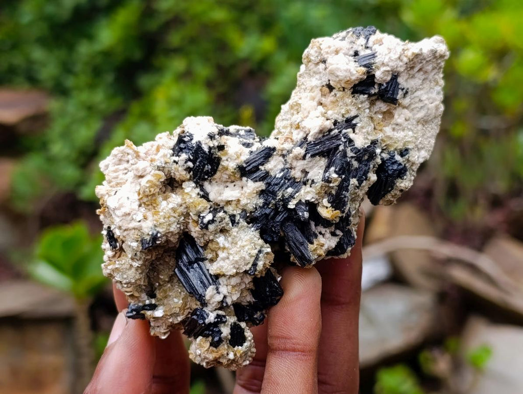 Natural Schorl Black Tourmaline with Vermiculite Mica x 6 From Erongo, Namibia - Toprock Gemstones and Minerals 