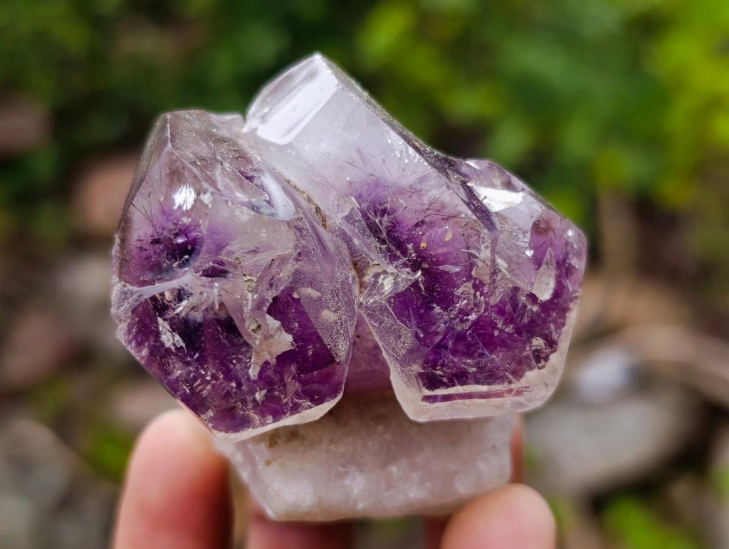 Polished Window Amethyst Crystals x 12 From Akansobe, Madagascar - Toprock Gemstones and Minerals 