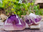 Polished Window Amethyst Crystals x 12 From Akansobe, Madagascar - Toprock Gemstones and Minerals 