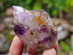 Polished Window Amethyst Crystals x 12 From Akansobe, Madagascar - Toprock Gemstones and Minerals 