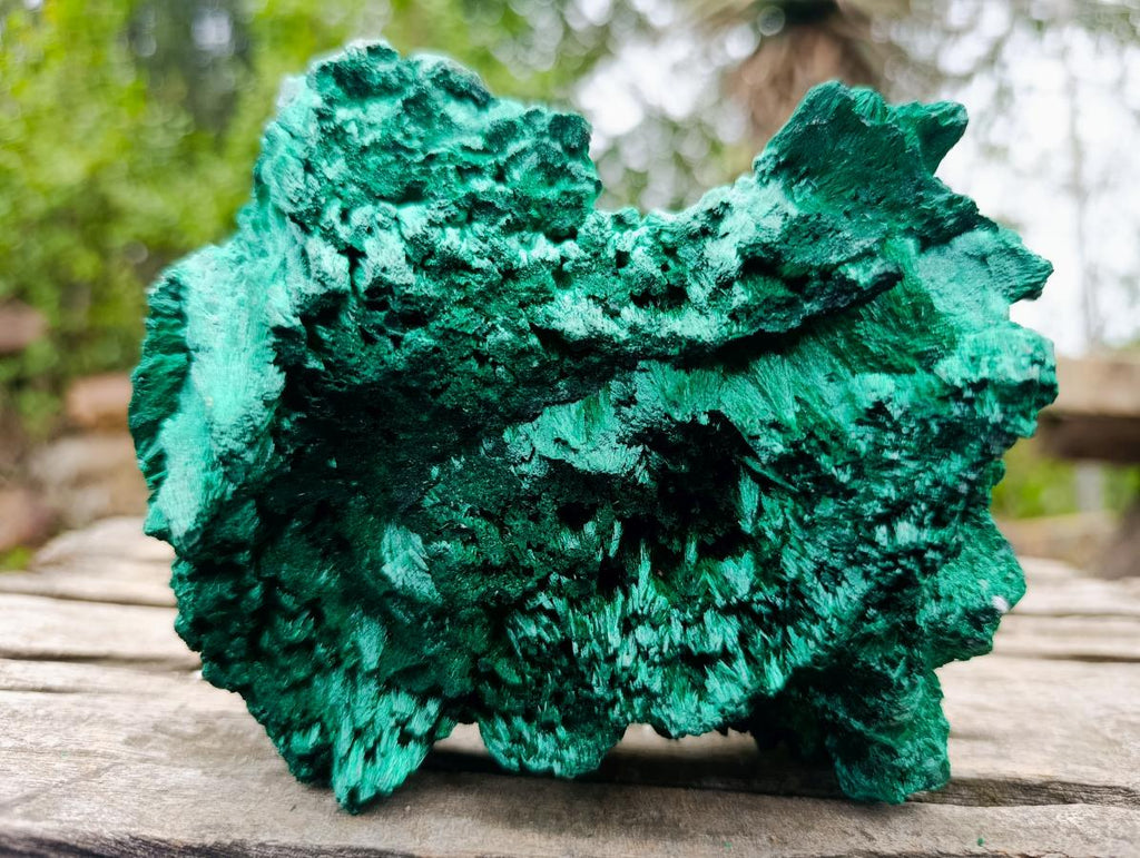 Natural Silky Malachite Specimens x 2 From Kasompe, Congo - Toprock Gemstones and Minerals 
