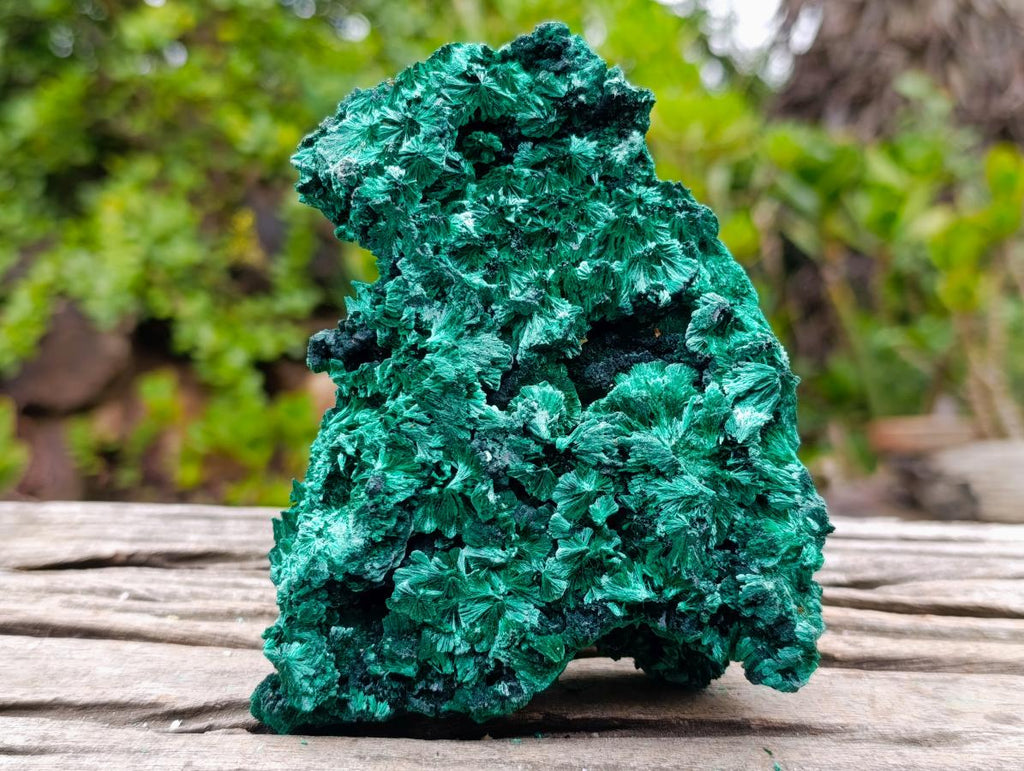 Natural Silky Malachite Specimens x 2 From Kasompe, Congo - Toprock Gemstones and Minerals 
