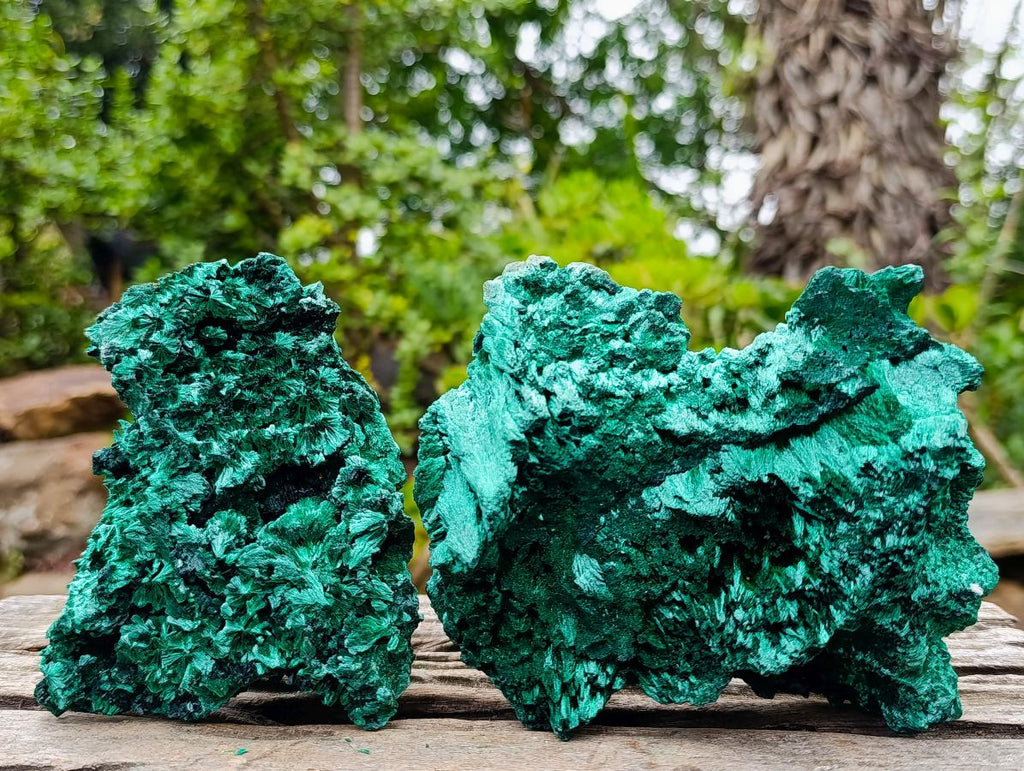 Natural Silky Malachite Specimens x 2 From Kasompe, Congo - Toprock Gemstones and Minerals 