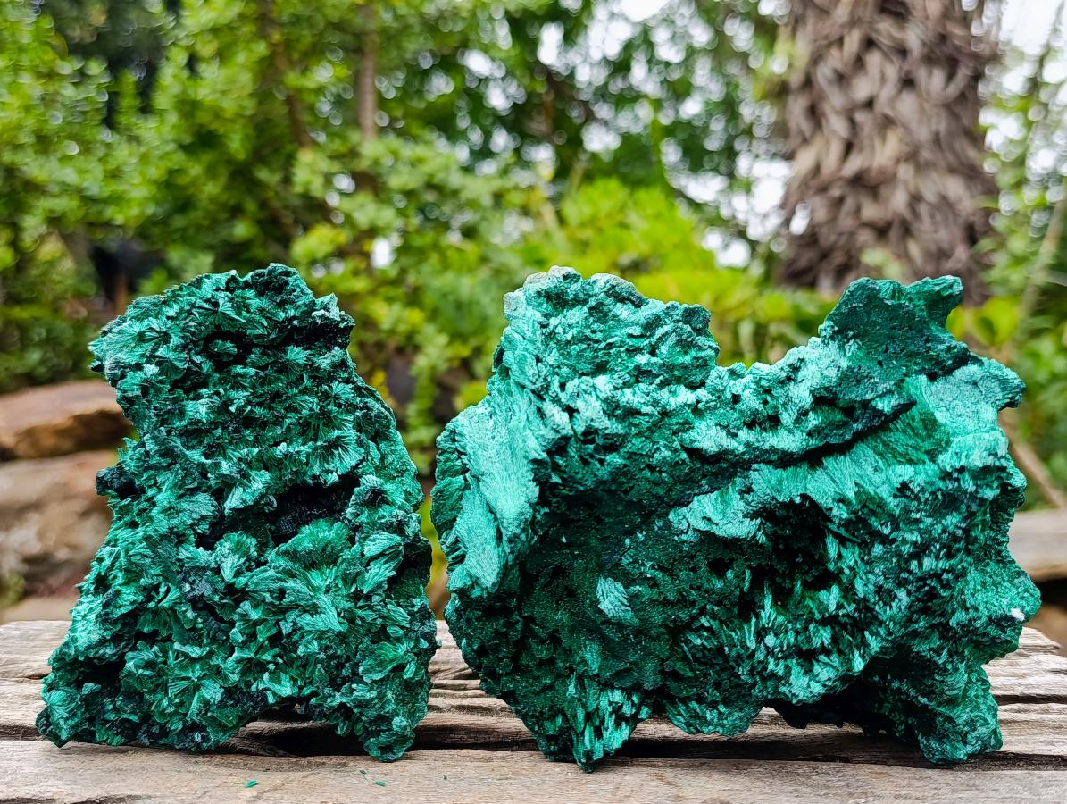 Natural Silky Malachite Specimens x 2 From Kasompe, Congo - Toprock Gemstones and Minerals 