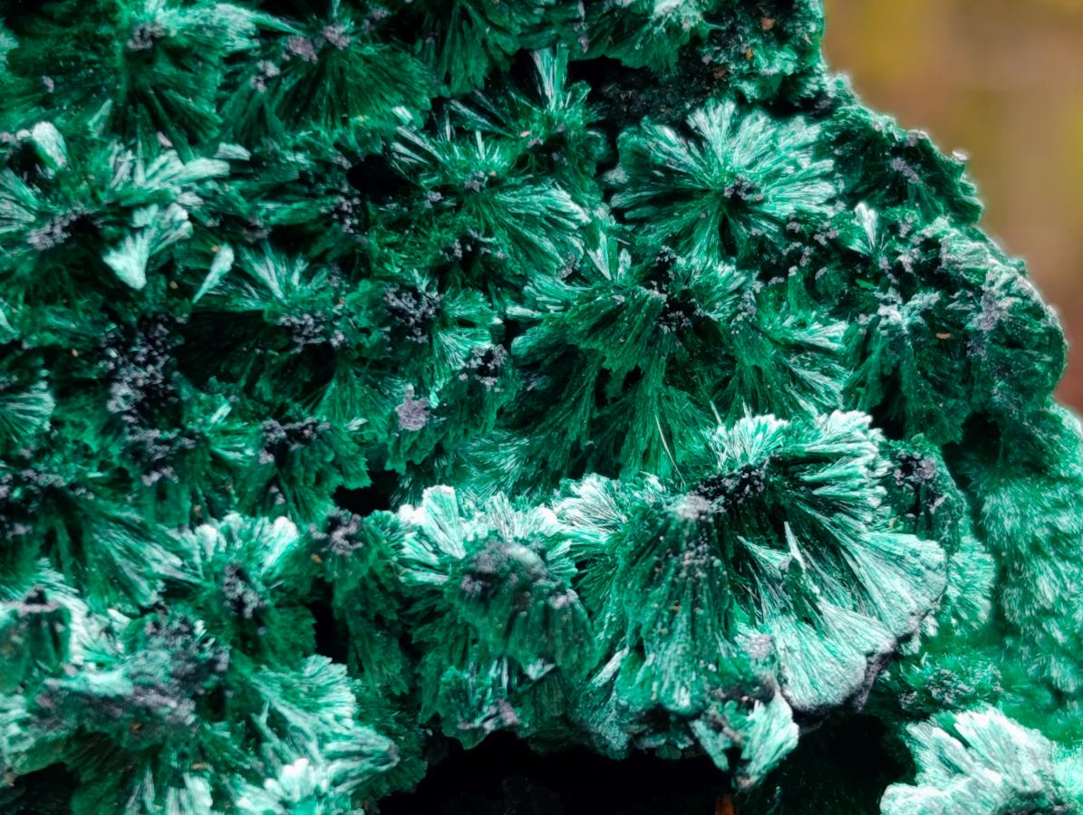 Natural Silky Malachite Specimens x 2 From Kasompe, Congo - Toprock Gemstones and Minerals 