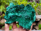 Natural Silky Malachite Specimens x 2 From Kasompe, Congo - Toprock Gemstones and Minerals 