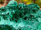 Natural Silky Malachite Specimens x 2 From Kasompe, Congo - Toprock Gemstones and Minerals 