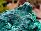 Natural Silky Malachite Specimens x 2 From Kasompe, Congo - Toprock Gemstones and Minerals 