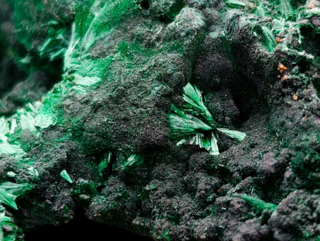 Natural Silky Malachite Specimens x 2 From Kasompe, Congo - Toprock Gemstones and Minerals 