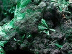 Natural Silky Malachite Specimens x 2 From Kasompe, Congo - Toprock Gemstones and Minerals 