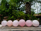Polished Gemmy Star Rose Quartz Spheres x 6 From Madagascar - Toprock Gemstones and Minerals 