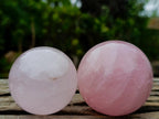 Polished Gemmy Star Rose Quartz Spheres x 6 From Madagascar - Toprock Gemstones and Minerals 