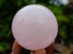 Polished Gemmy Star Rose Quartz Spheres x 6 From Madagascar - Toprock Gemstones and Minerals 