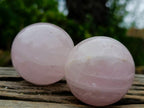 Polished Gemmy Star Rose Quartz Spheres x 6 From Madagascar - Toprock Gemstones and Minerals 