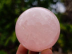 Polished Gemmy Star Rose Quartz Spheres x 6 From Madagascar - Toprock Gemstones and Minerals 
