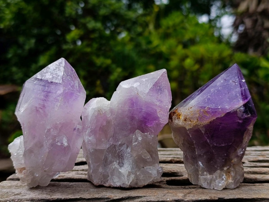 Natural Jacaranda Amethyst Crystals with Polished Terminations x 12 From Mumbwa, Zambia - Toprock Gemstones and Minerals 