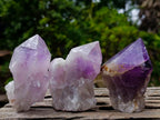 Natural Jacaranda Amethyst Crystals with Polished Terminations x 12 From Mumbwa, Zambia - Toprock Gemstones and Minerals 