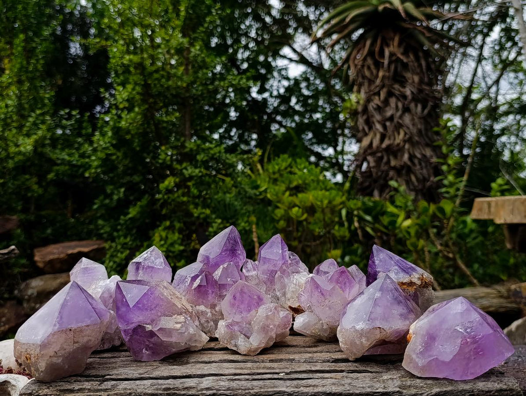 Natural Jacaranda Amethyst Crystals with Polished Terminations x 12 From Mumbwa, Zambia - Toprock Gemstones and Minerals 