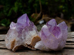 Natural Jacaranda Amethyst Crystals with Polished Terminations x 12 From Mumbwa, Zambia - Toprock Gemstones and Minerals 