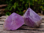 Natural Jacaranda Amethyst Crystals with Polished Terminations x 12 From Mumbwa, Zambia - Toprock Gemstones and Minerals 