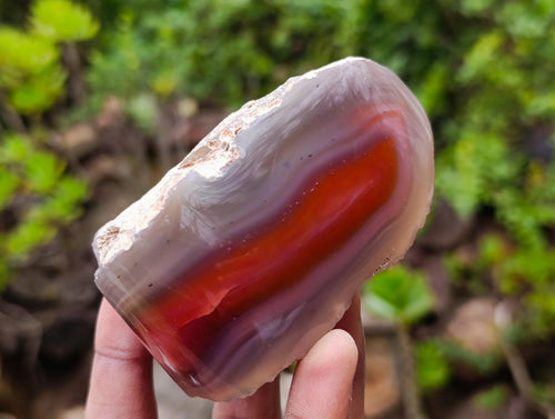 Polished One Side Red Shashe River Agate Nodules x 9 From Shashe River, Zimbabwe - Toprock Gemstones and Minerals 