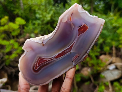 Polished One Side Red Shashe River Agate Nodules x 9 From Shashe River, Zimbabwe - Toprock Gemstones and Minerals 