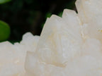 Natural Large Cascading Cathedral Window Candle Quartz Cluster x 1 From Antsirabe, Madagascar - Toprock Gemstones and Minerals 