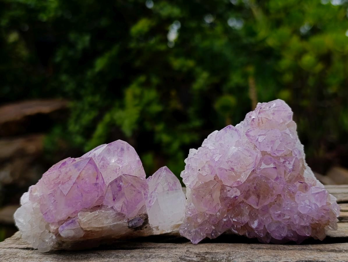 Natural Spirit Amethyst Clusters x 12 From Boekenhouthoek, South Africa - Toprock Gemstones and Minerals 