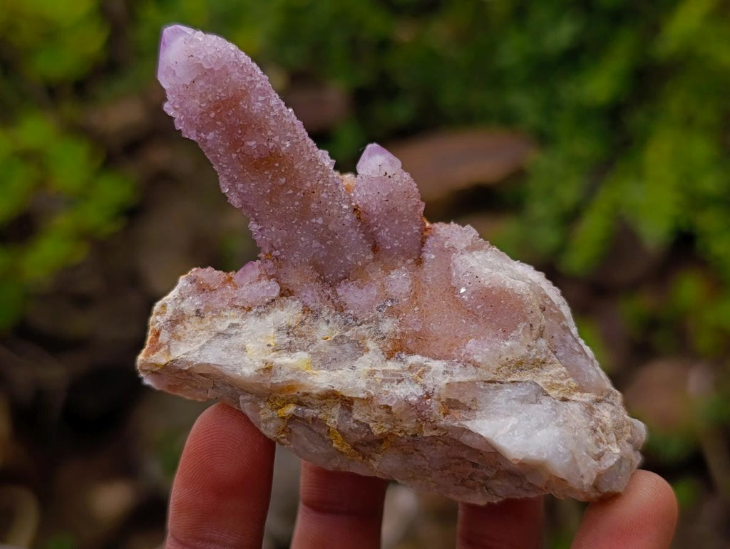 Natural Spirit Amethyst Clusters x 12 From Boekenhouthoek, South Africa - Toprock Gemstones and Minerals 