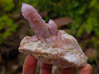 Natural Spirit Amethyst Clusters x 12 From Boekenhouthoek, South Africa - Toprock Gemstones and Minerals 