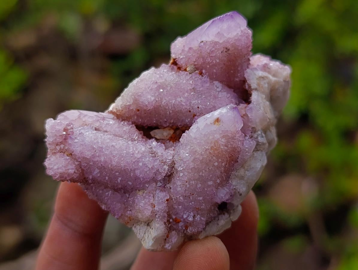 Natural Spirit Amethyst Clusters x 12 From Boekenhouthoek, South Africa - Toprock Gemstones and Minerals 