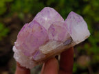 Natural Spirit Amethyst Clusters x 12 From Boekenhouthoek, South Africa - Toprock Gemstones and Minerals 