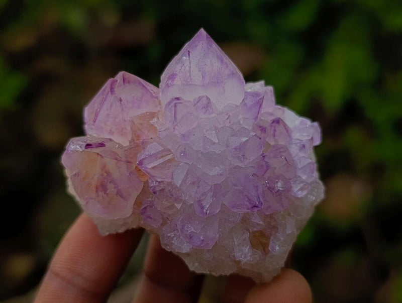 Natural Spirit Amethyst Clusters x 12 From Boekenhouthoek, South Africa - Toprock Gemstones and Minerals 