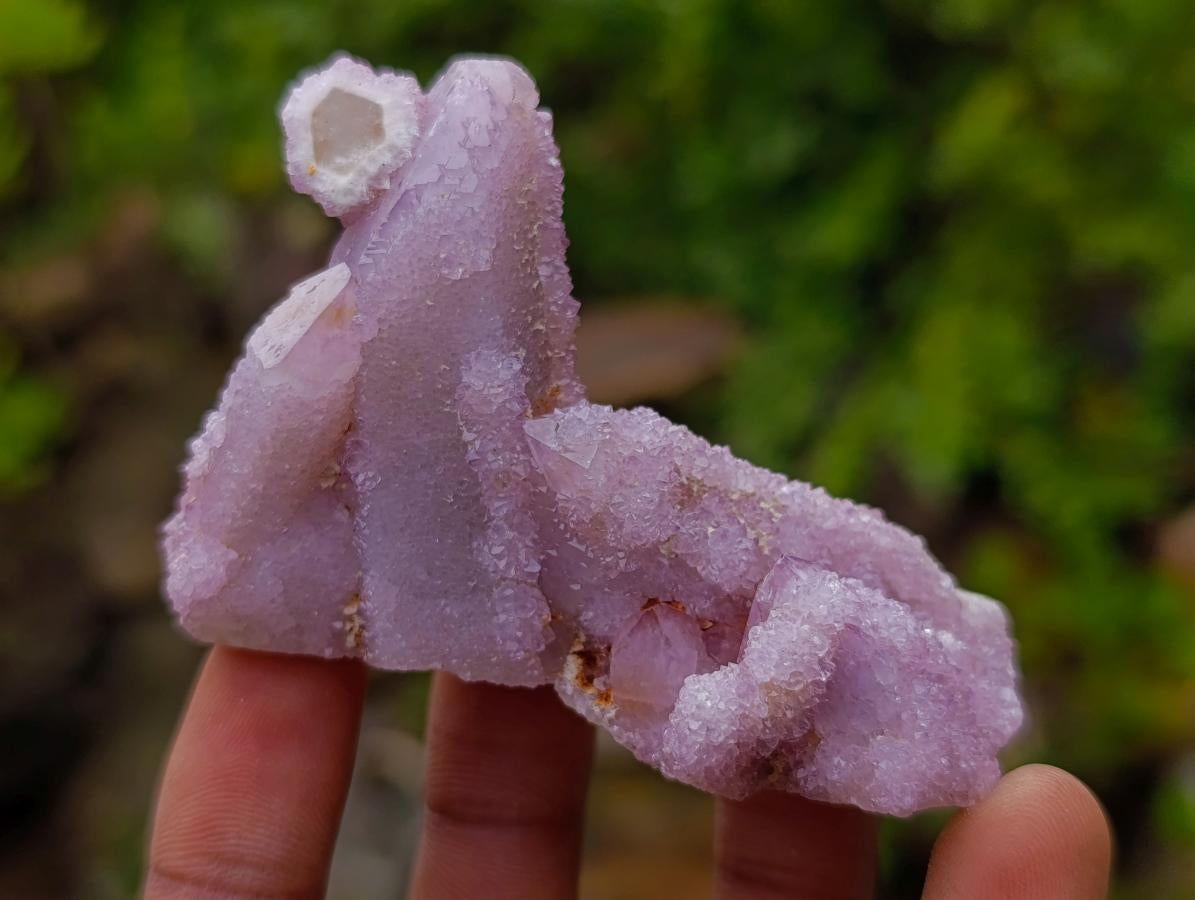Natural Spirit Amethyst Clusters x 12 From Boekenhouthoek, South Africa - Toprock Gemstones and Minerals 