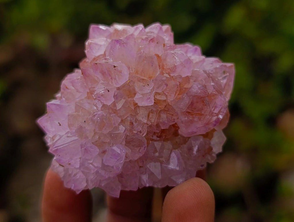 Natural Spirit Amethyst Clusters x 12 From Boekenhouthoek, South Africa - Toprock Gemstones and Minerals 