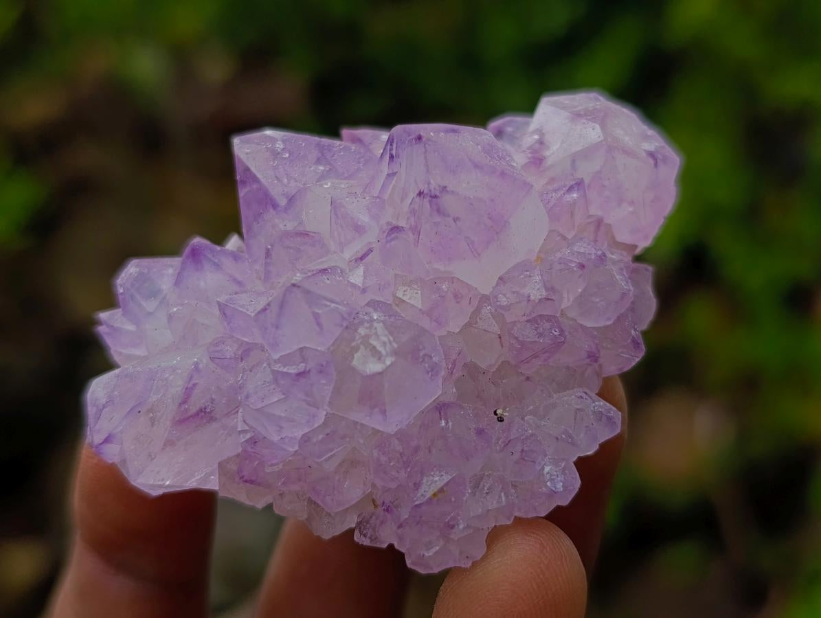 Natural Spirit Amethyst Clusters x 12 From Boekenhouthoek, South Africa - Toprock Gemstones and Minerals 