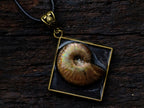 Hand Made Mix of Minerals Necklaces x From Southern Africa - Toprock Gemstones and Minerals 
