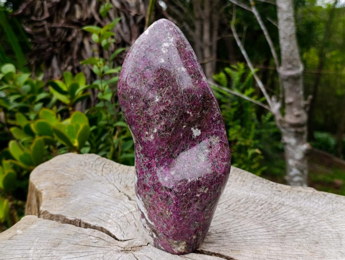 Polished Large Rubellite Pink Tourmaline Standing Display Piece x 1 From Ambatondrazaka, Madagascar - Toprock Gemstones and Minerals 