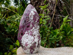 Polished Large Rubellite Pink Tourmaline Standing Display Piece x 1 From Ambatondrazaka, Madagascar - Toprock Gemstones and Minerals 