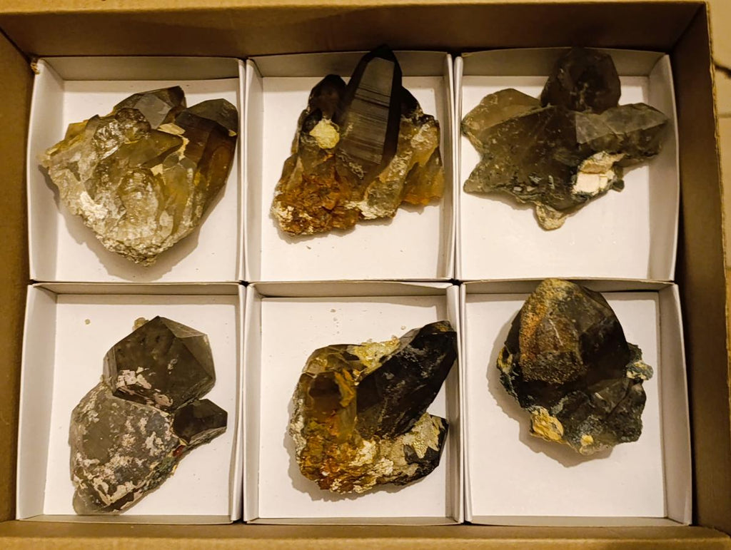 Natural Smokey Quartz Crystals with Foitite and Hyalite Opal x 6 From Erongo, Namibia - Toprock Gemstones and Minerals 