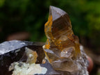 Natural Smokey Quartz Crystals with Foitite and Hyalite Opal x 6 From Erongo, Namibia - Toprock Gemstones and Minerals 