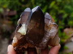 Natural Smokey Quartz Crystals with Foitite and Hyalite Opal x 6 From Erongo, Namibia - Toprock Gemstones and Minerals 