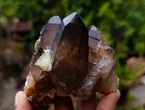 Natural Smokey Quartz Crystals with Foitite and Hyalite Opal x 6 From Erongo, Namibia - Toprock Gemstones and Minerals 