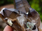 Natural Smokey Quartz Crystals with Foitite and Hyalite Opal x 6 From Erongo, Namibia - Toprock Gemstones and Minerals 