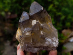 Natural Smokey Quartz Crystals with Foitite and Hyalite Opal x 6 From Erongo, Namibia - Toprock Gemstones and Minerals 
