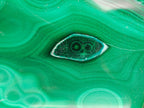 Polished Flower Banded Malachite Free Forms x 2 From Congo - Toprock Gemstones and Minerals 