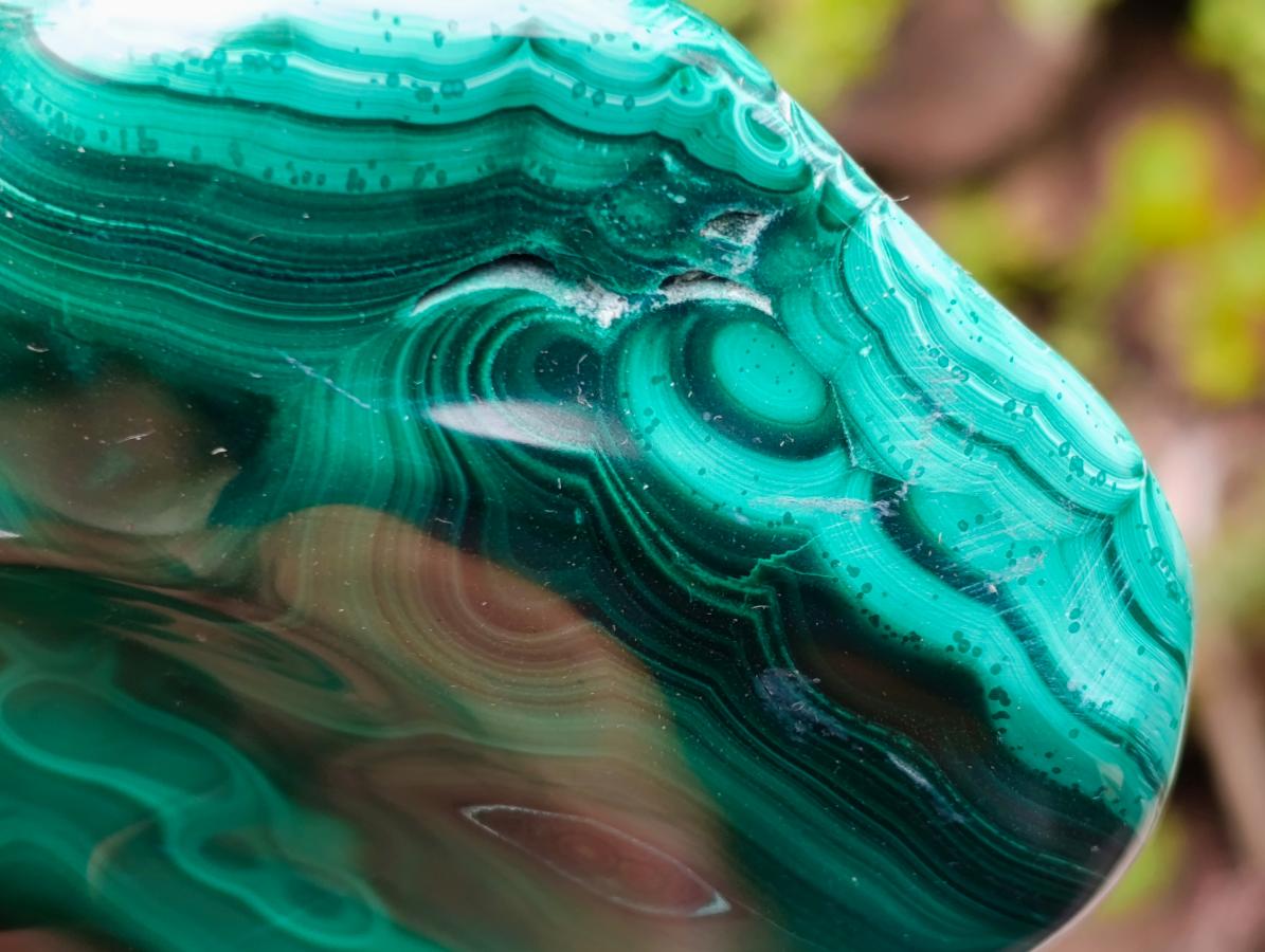 Polished Flower Banded Malachite Free Forms x 2 From Congo - Toprock Gemstones and Minerals 