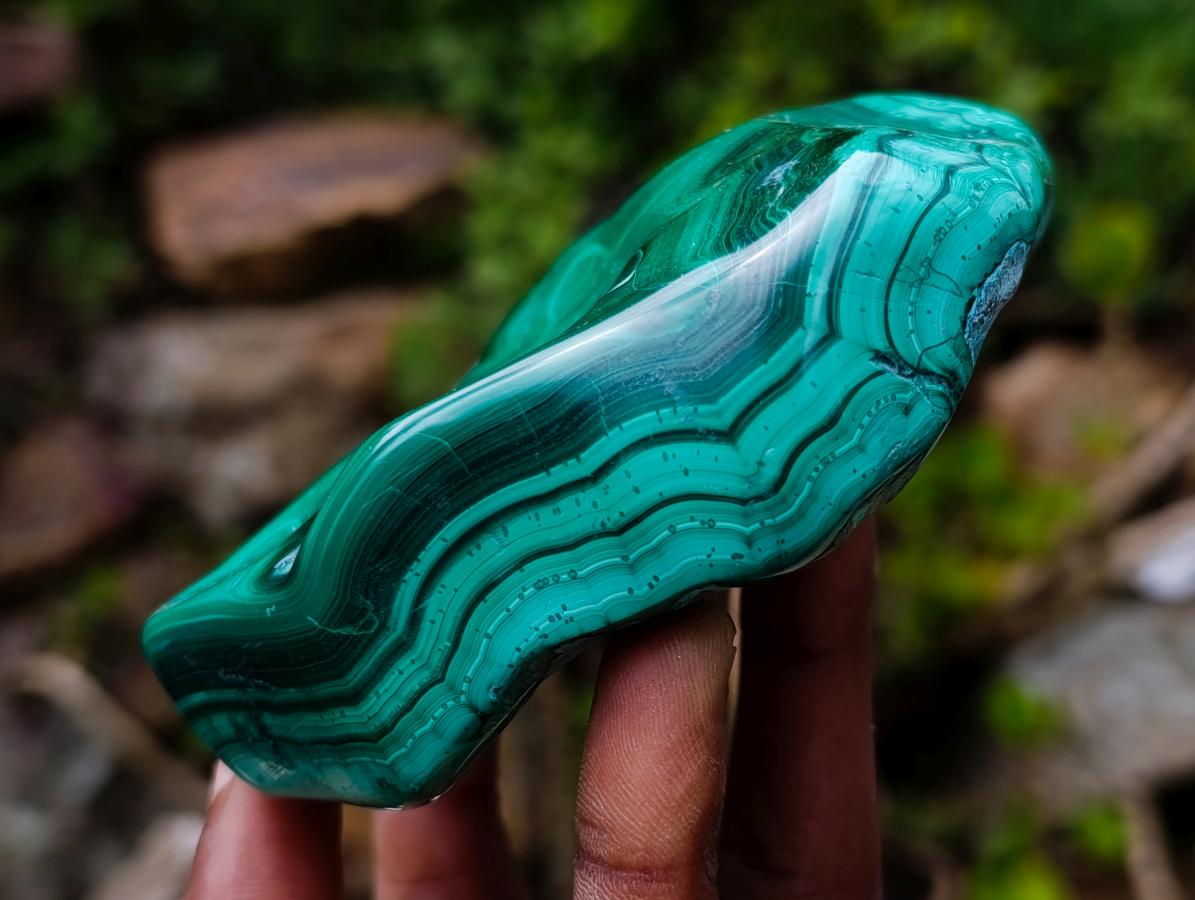 Polished Flower Banded Malachite Free Forms x 2 From Congo - Toprock Gemstones and Minerals 