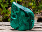 Polished Flower Banded Malachite Free Forms x 2 From Congo - Toprock Gemstones and Minerals 