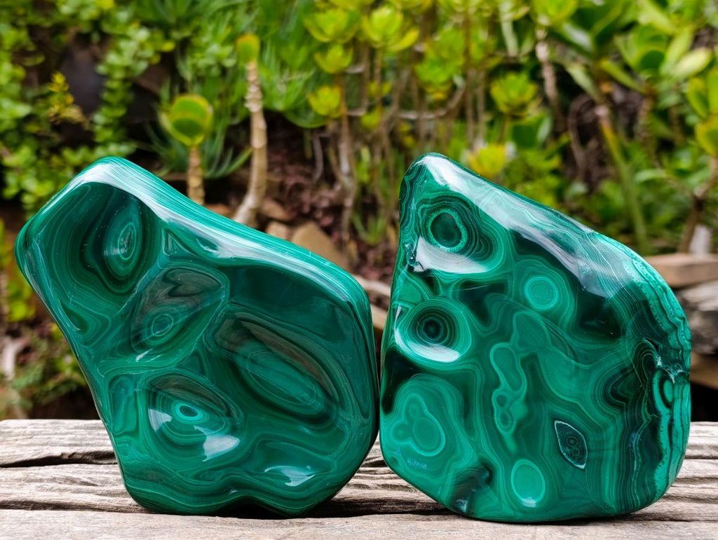 Polished Flower Banded Malachite Free Forms x 2 From Congo - Toprock Gemstones and Minerals 
